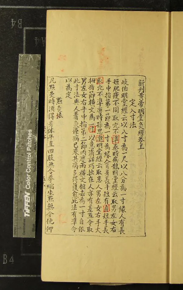 《鍼灸四書九卷》作者：(明)不著撰者編  抄本  PDF下载-汉笺公版书