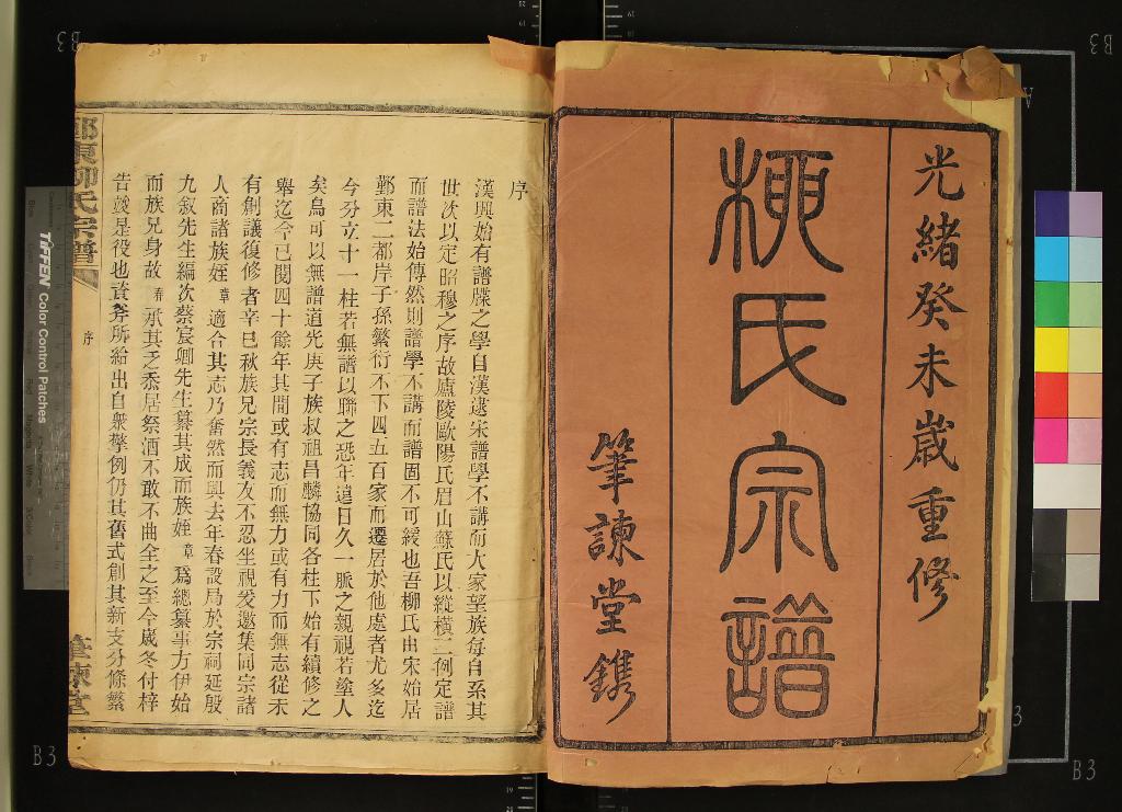 《[浙江鄞縣]鄞東柳氏宗譜不分卷》作者：(清光緒)清蔡恒壽、柳章、殷修惇等纂修  活字本  PDF下载-汉笺公版书
