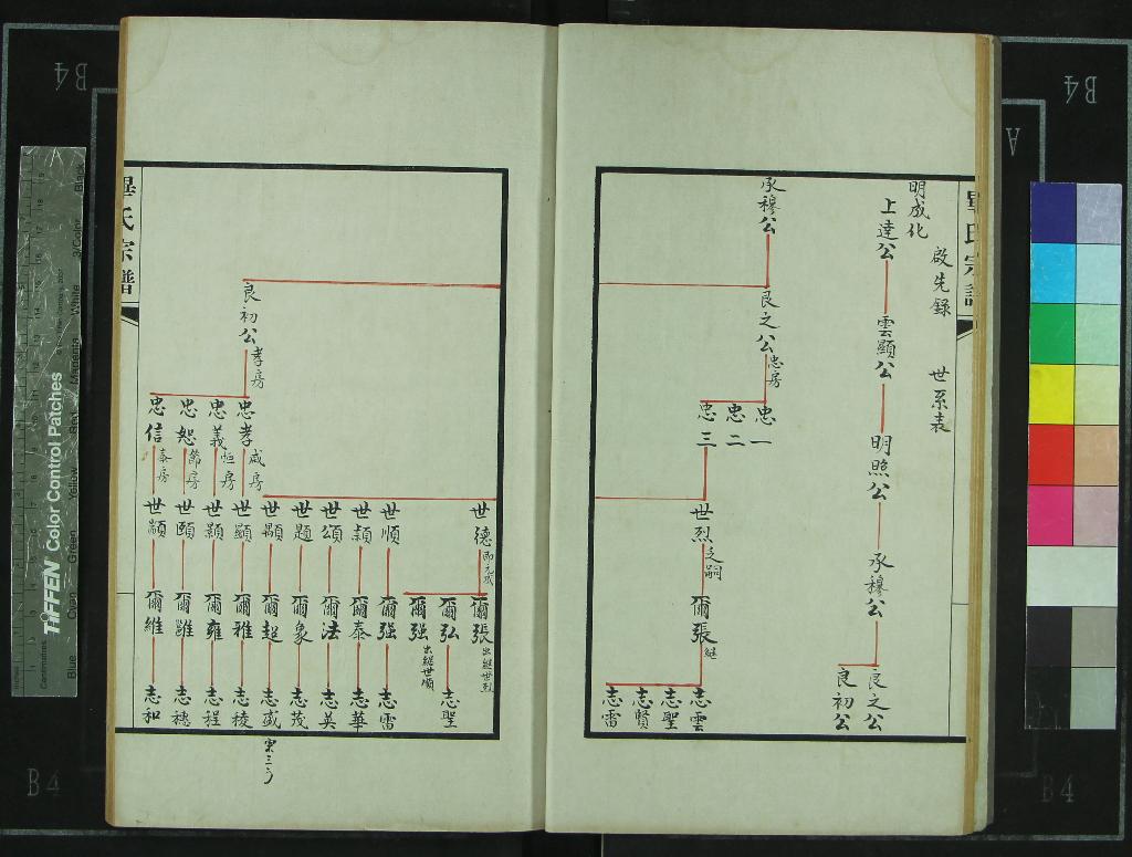 《[浙江鄞縣]畢氏宗譜不分卷》作者：(民國)民國畢東陽纂修  抄本  PDF下载-汉笺公版书