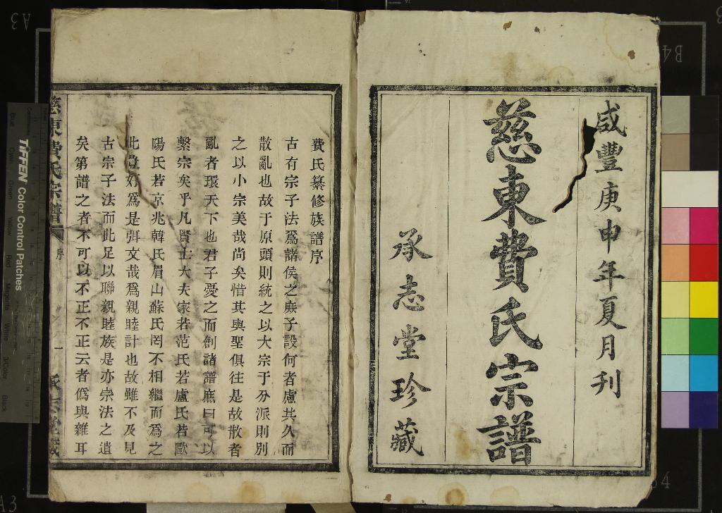 《[浙江慈谿]慈東費氏宗譜三十二卷》作者：(清咸豐)清費錦榮等纂修  木活字本  PDF下载-汉笺公版书