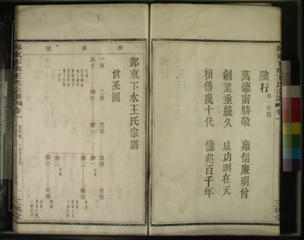 《[浙江鄞州]鄞東下水王氏宗譜四卷》作者：(民國)民國王善繼等纂修  活字本  PDF下载-汉笺公版书