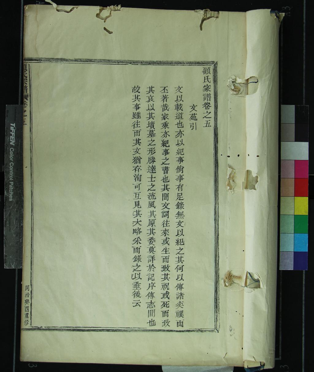 《[浙江奉化]顧氏家譜□□卷》作者：(清同治)  木活字印本  PDF下载-汉笺公版书