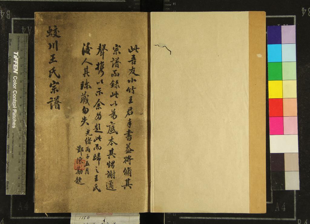 《[浙江鎮海]蛟川王氏宗譜不分卷》作者：(清光緒)清王世灴纂修  稿本  PDF下载-汉笺公版书