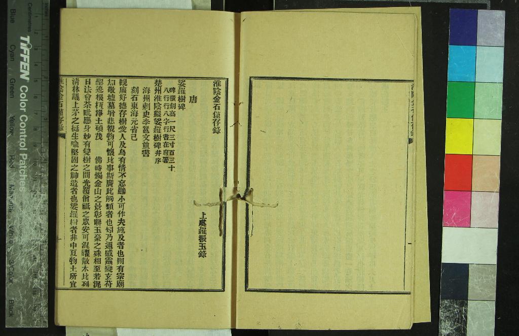《淮陰金石僅存錄1冊》作者：(清光緒)清王錫祺編  鉛印本  PDF下载-汉笺公版书