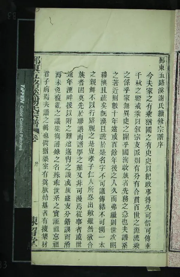 《[浙江鄞縣]鄞東五路溪謝氏宗譜四卷》作者：(民國)民國謝友皓纂修  活字本  PDF下载-汉笺公版书