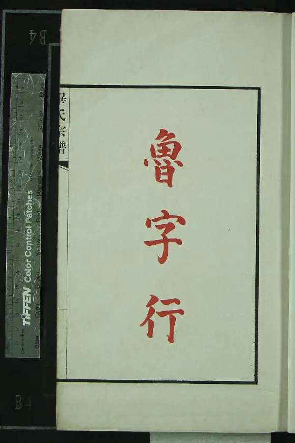 《[浙江鄞縣]畢氏宗譜不分卷》作者：(民國)  抄本  PDF下载-汉笺公版书