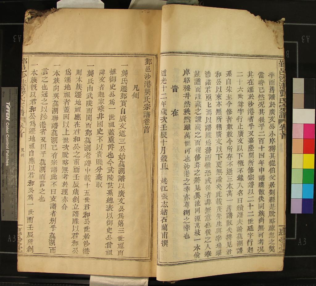 《[浙江鄞縣]鄞邑沙港龔氏宗譜十卷首一卷末一卷》作者：(清光緒)  活字本  PDF下载-汉笺公版书