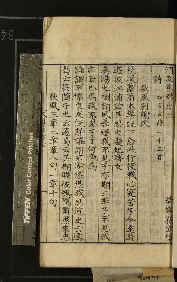 《洞庭集五十三卷》作者：(明嘉靖)明孫宜撰  刻本  PDF下载-汉笺公版书