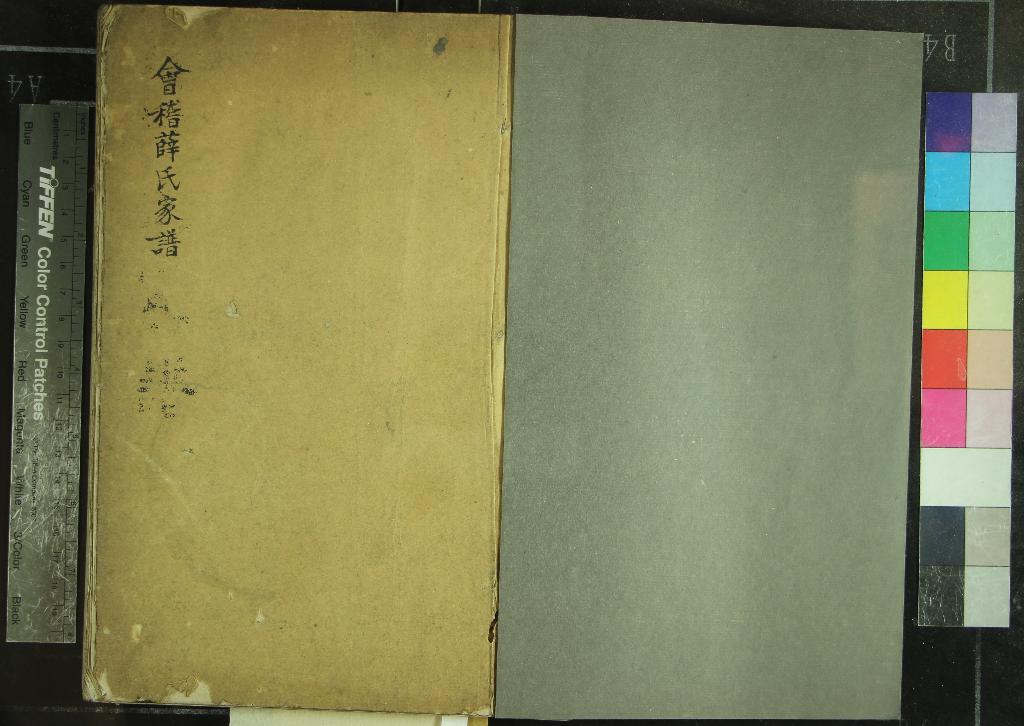 《會稽薛氏家譜不分卷》作者：(清)清薛存誠等撰  抄本  PDF下载-汉笺公版书