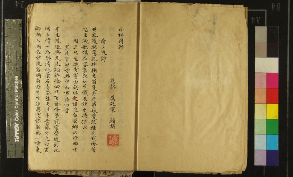 《小林詩鈔一卷》作者：(清)清虞廷寀著  抄本  PDF下载-汉笺公版书