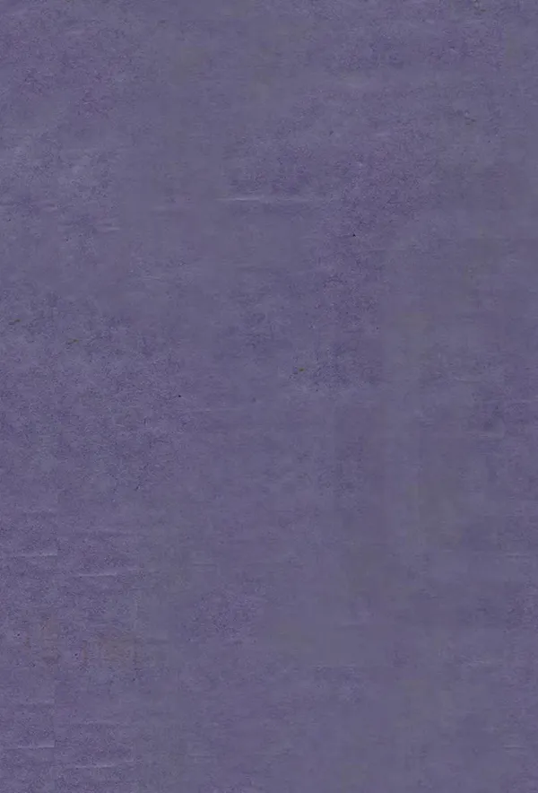 《蒙城縣誌》编撰：李炳涛 清[1644-1911] PDF下载-汉笺公版书