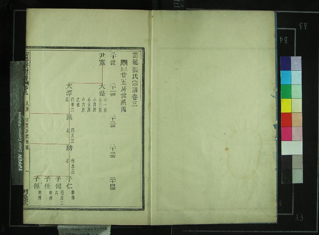 《龍雲張氏宗譜十九卷末一卷》作者：(清光緒)不著撰者  木活字本  PDF下载-汉笺公版书