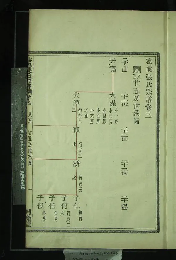 《龍雲張氏宗譜十九卷末一卷》作者：(清光緒)不著撰者  木活字本  PDF下载-汉笺公版书