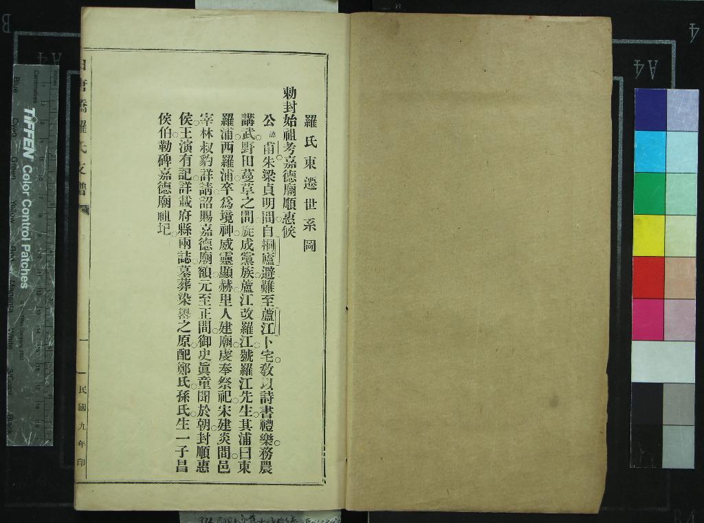 《[浙江慈溪]白唐橋羅氏支譜不分卷》作者：(民國)民國羅葆芹纂修  鉛印本  PDF下载-汉笺公版书