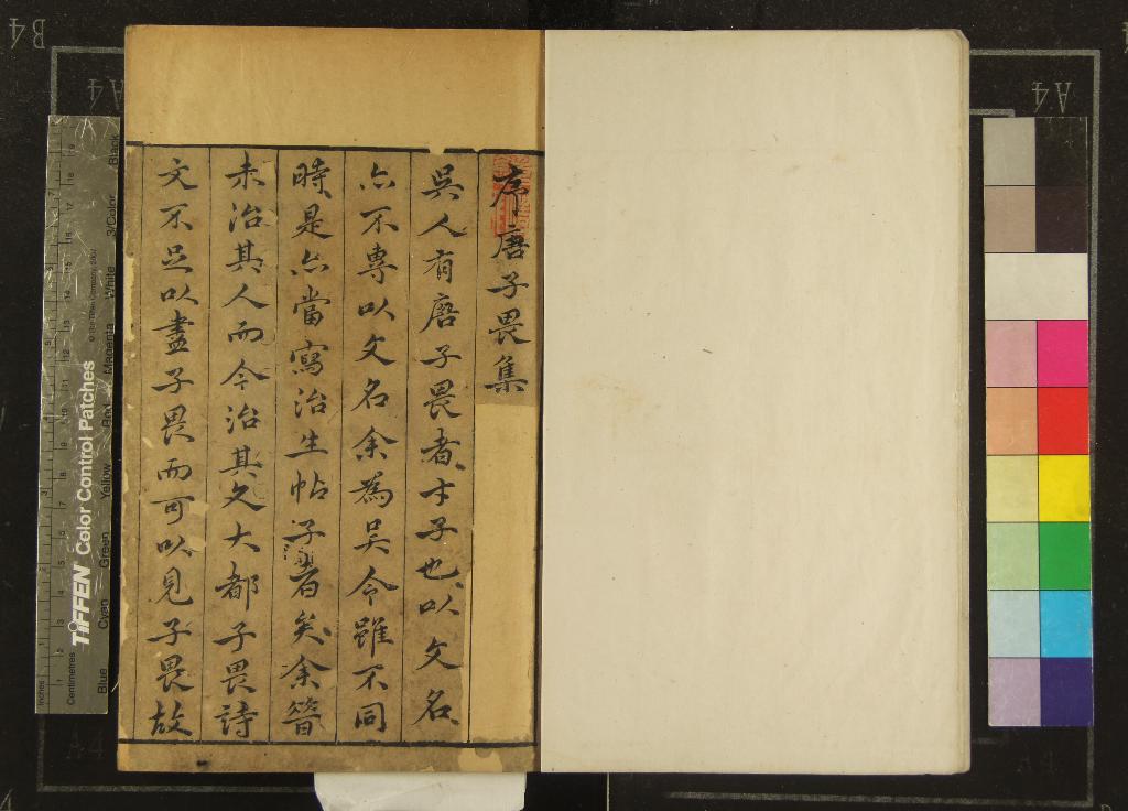 《袁中郎先生批評唐伯虎彙集四卷》作者：(明萬曆)明唐寅著、明袁宏道評；唐六如先生畫譜三卷、明唐寅輯；外集一卷傳贊一卷紀事一卷、明祝允明撰  刻本  PDF下载-汉笺公版书