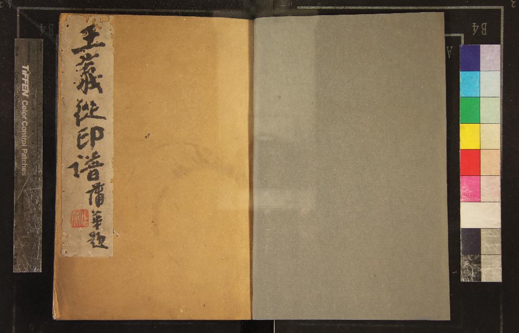 《王義從印譜不分卷》作者：(清乾隆)清王義從撰  鈐印本  PDF下载-汉笺公版书