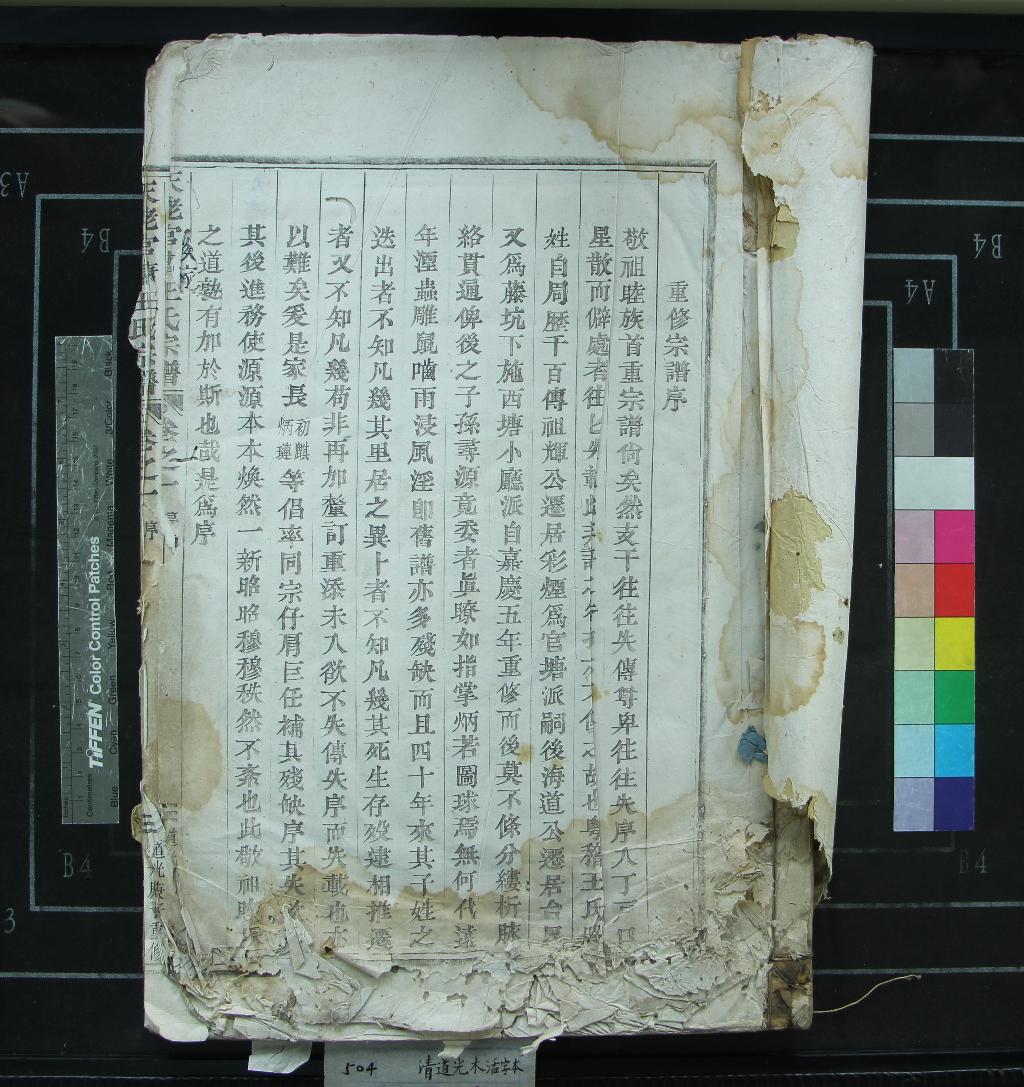 《[浙江新昌]天姥官塘王氏宗譜四卷》作者：(清道光)清王初麒修、清王炳翰纂  活字本  PDF下载-汉笺公版书