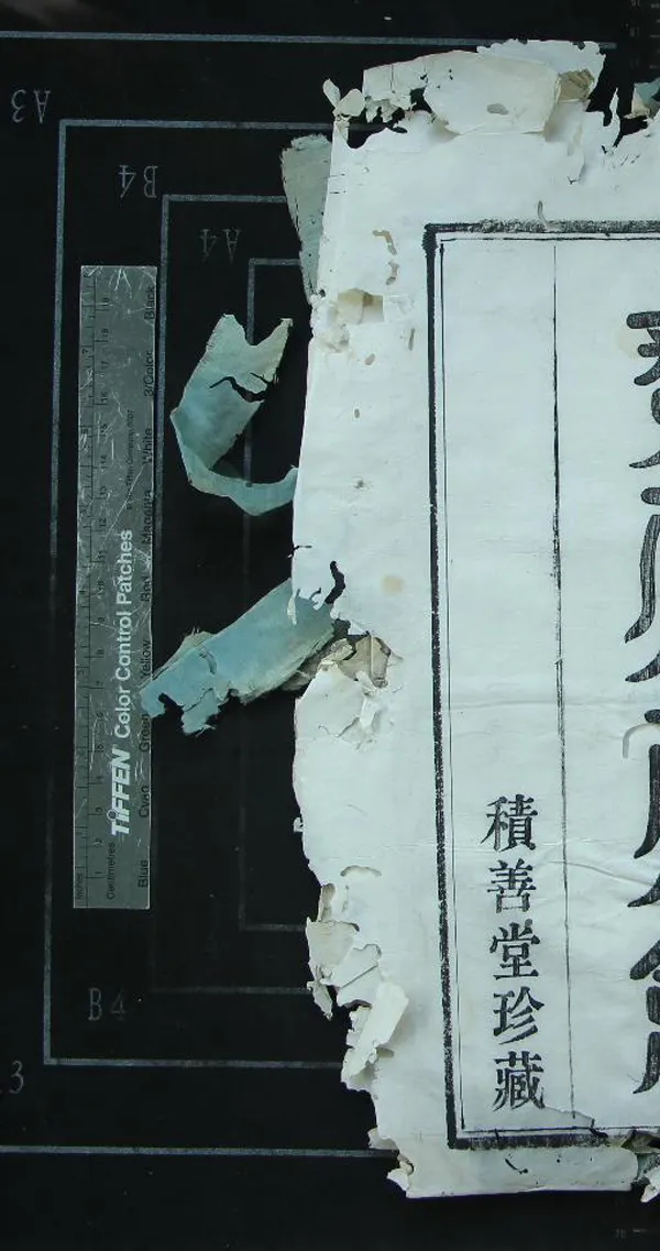 《[浙江鎮海]蛟川范氏宗譜四卷》作者：(清光緒)清金笠生、范榮椿纂修  活字本  PDF下载-汉笺公版书