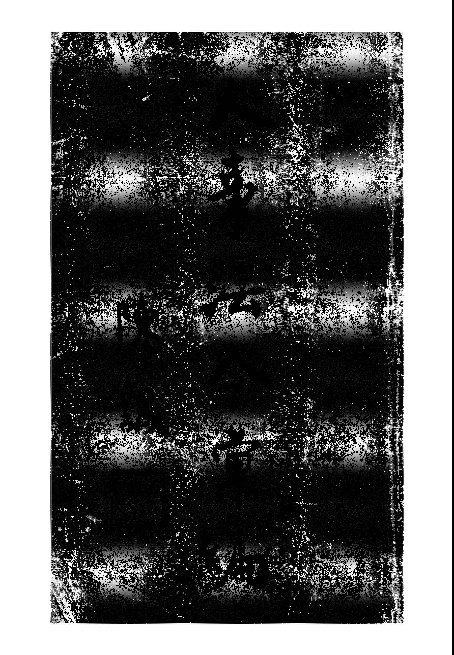 《人事法令彙編》 作者:臺灣省政府人事室主編 1949年  PDF下载-汉笺公版书