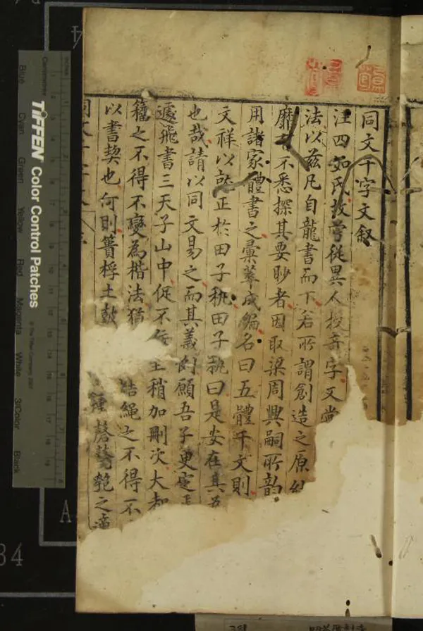 《同文千字文二卷》作者：(明萬曆)明汪以成輯  刻本  PDF下载-汉笺公版书