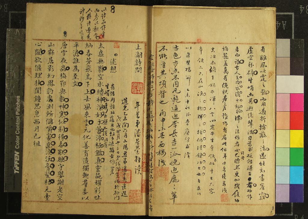 《上湖詩問二卷詩問四卷》作者：(清)清姚燮著  稿本  PDF下载-汉笺公版书