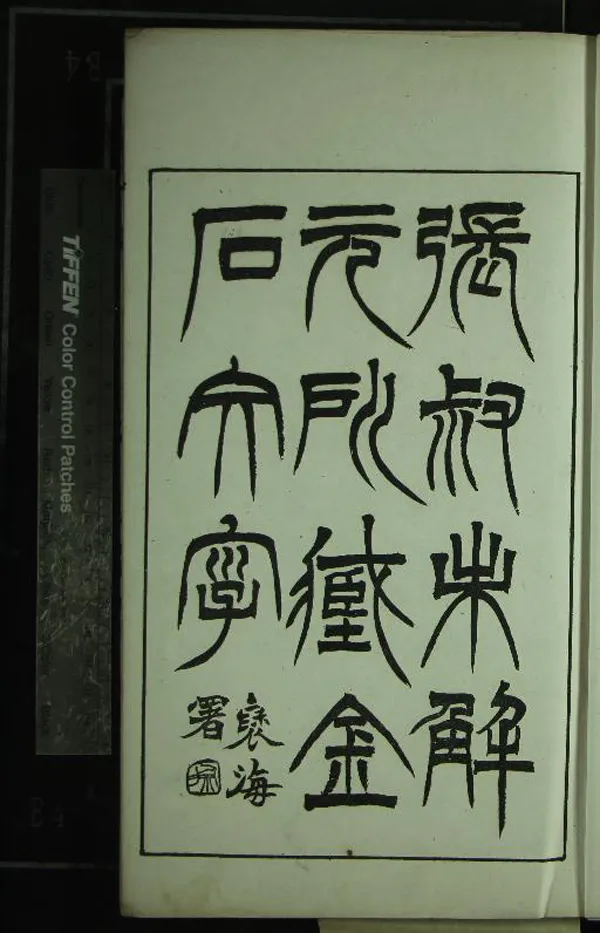 《張叔未解元所藏金石文字不分卷》作者：(清光緒)清張廷濟考釋、清嚴荄輯  石印本  PDF下载-汉笺公版书