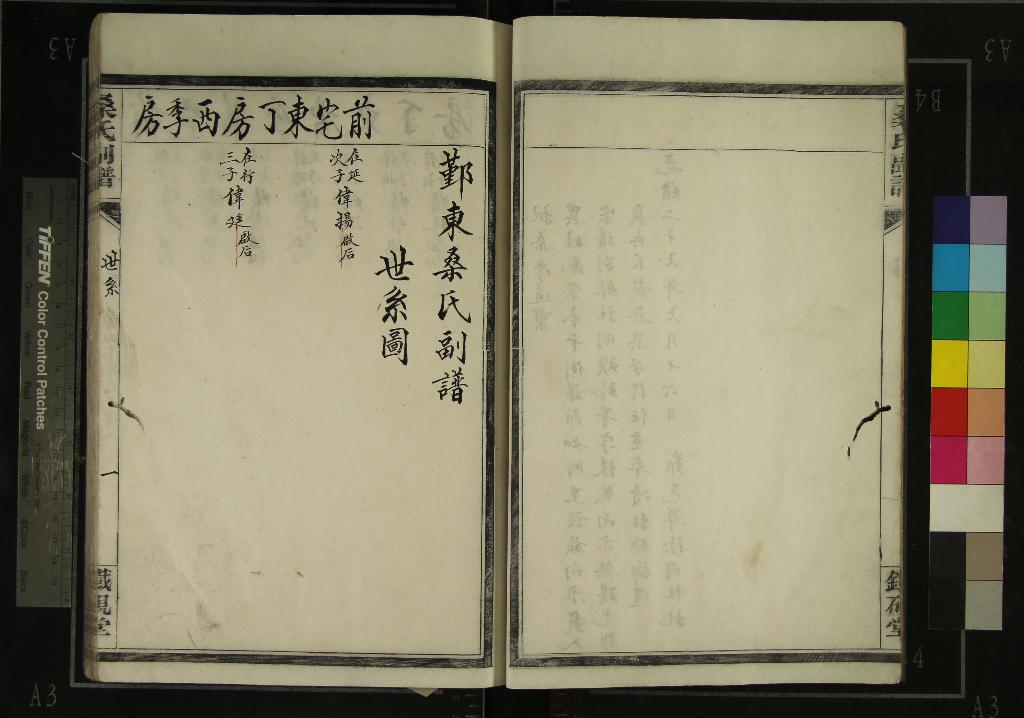 《[浙江鄞縣]鄞東桑氏副譜不分卷》作者：(清光緒)清沈守梅纂修  抄本  PDF下载-汉笺公版书