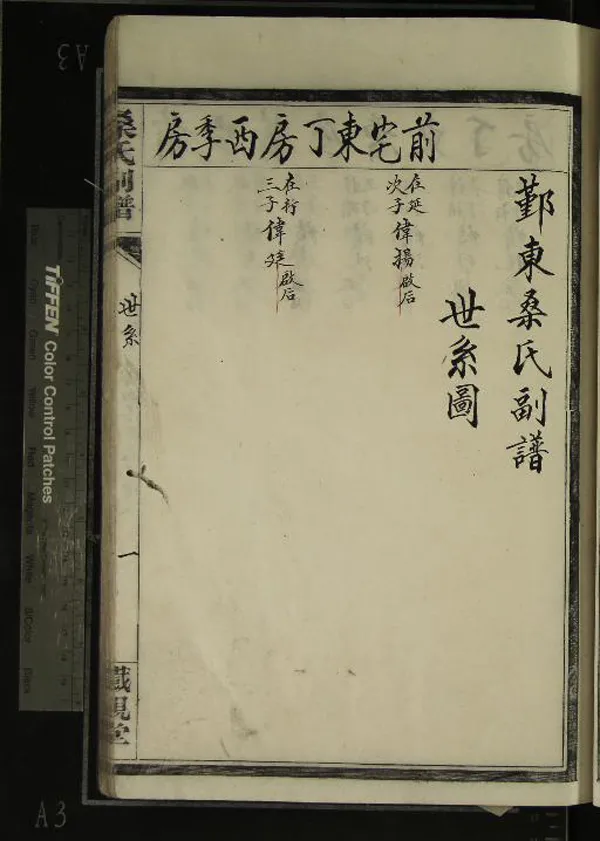 《[浙江鄞縣]鄞東桑氏副譜不分卷》作者：(清光緒)清沈守梅纂修  抄本  PDF下载-汉笺公版书