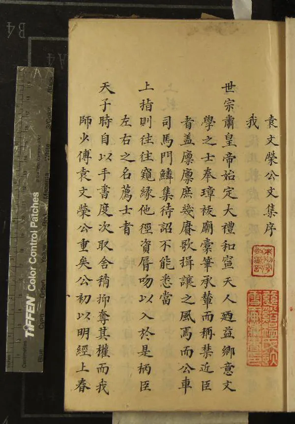 《袁文榮公文集八卷詩畧二卷》作者：(清)明袁煒撰  抄本  PDF下载-汉笺公版书