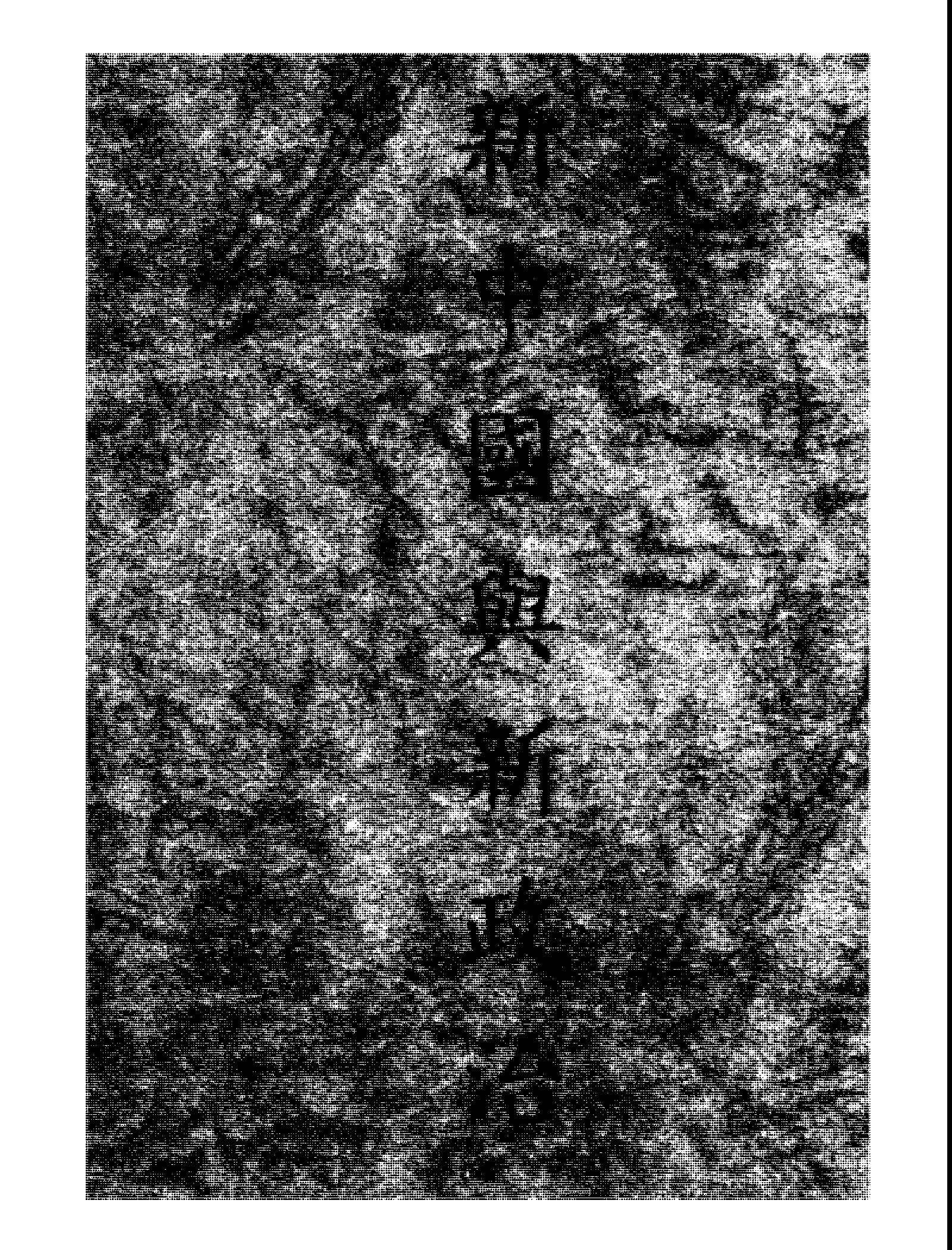 《新中國與新政治》 作者:林天明著 1946年  PDF下载-汉笺公版书