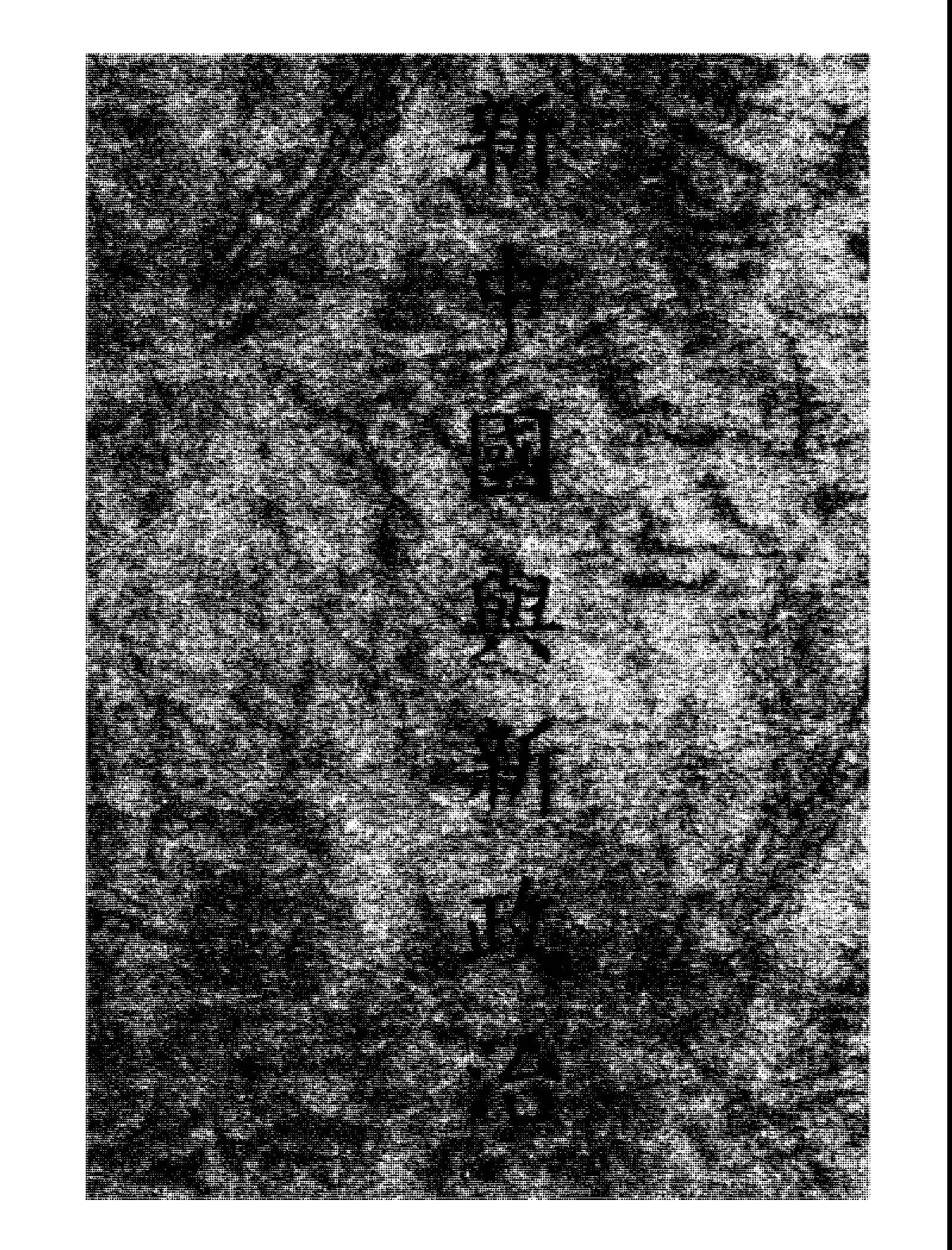 《新中國與新政治》 作者:林天明著 1946年  PDF下载-汉笺公版书