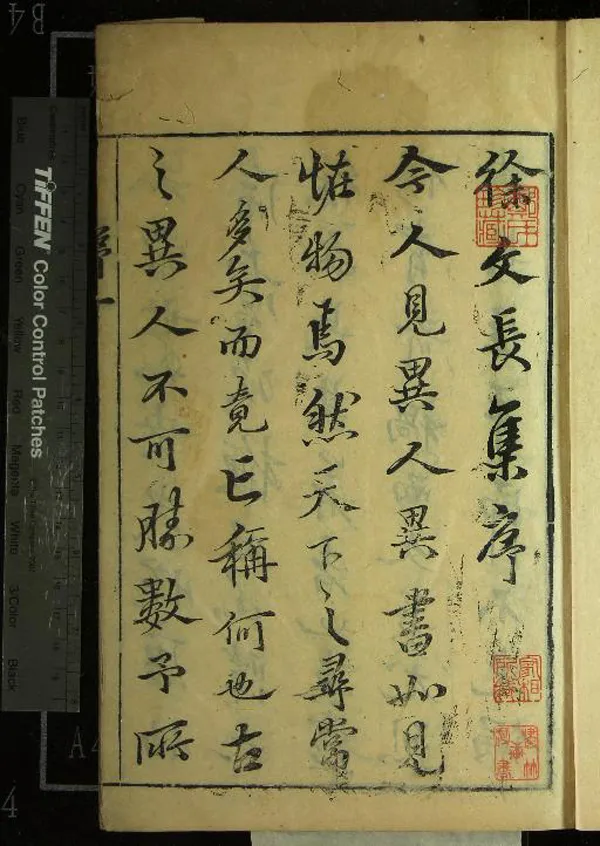 《徐文長文集三十卷四聲猿一卷》作者：(明萬曆)明徐渭撰、明袁宏道評點、明閔德美等校訂  刻本  PDF下载-汉笺公版书