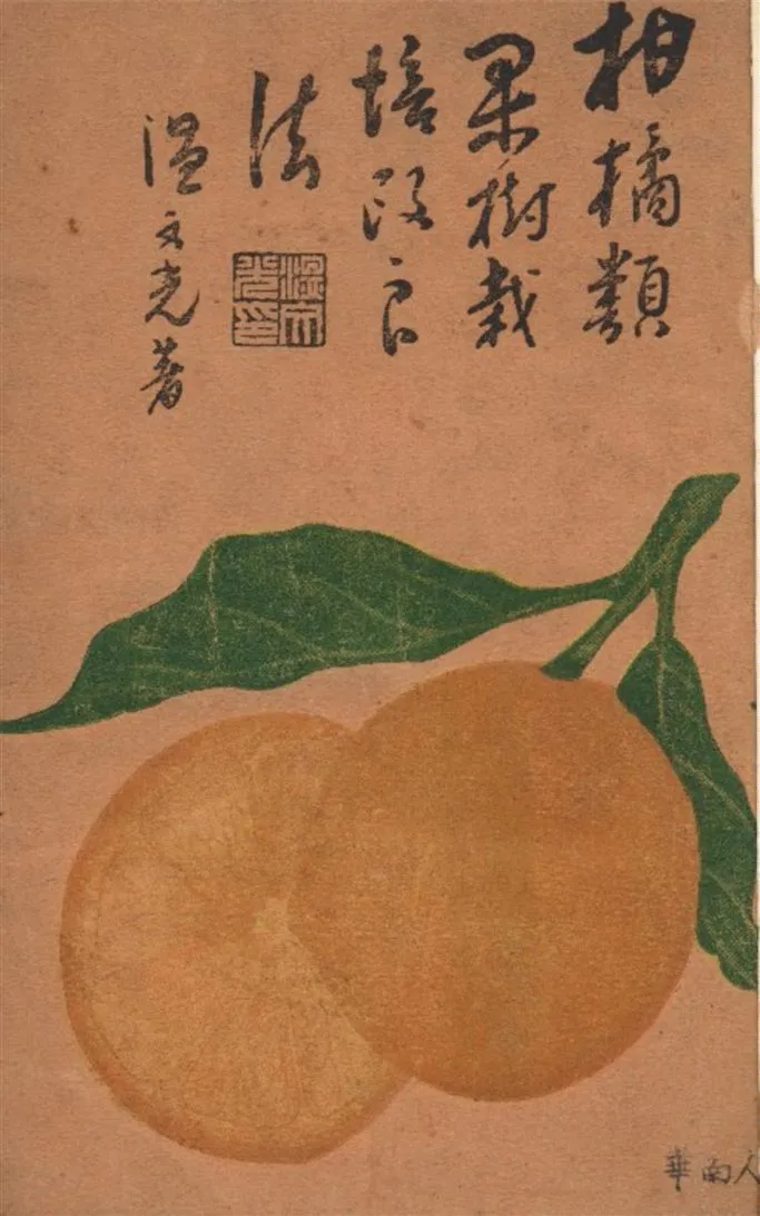 《柑橘類栽培改良法》 作者:溫文光著 1932年  PDF下载-汉笺公版书