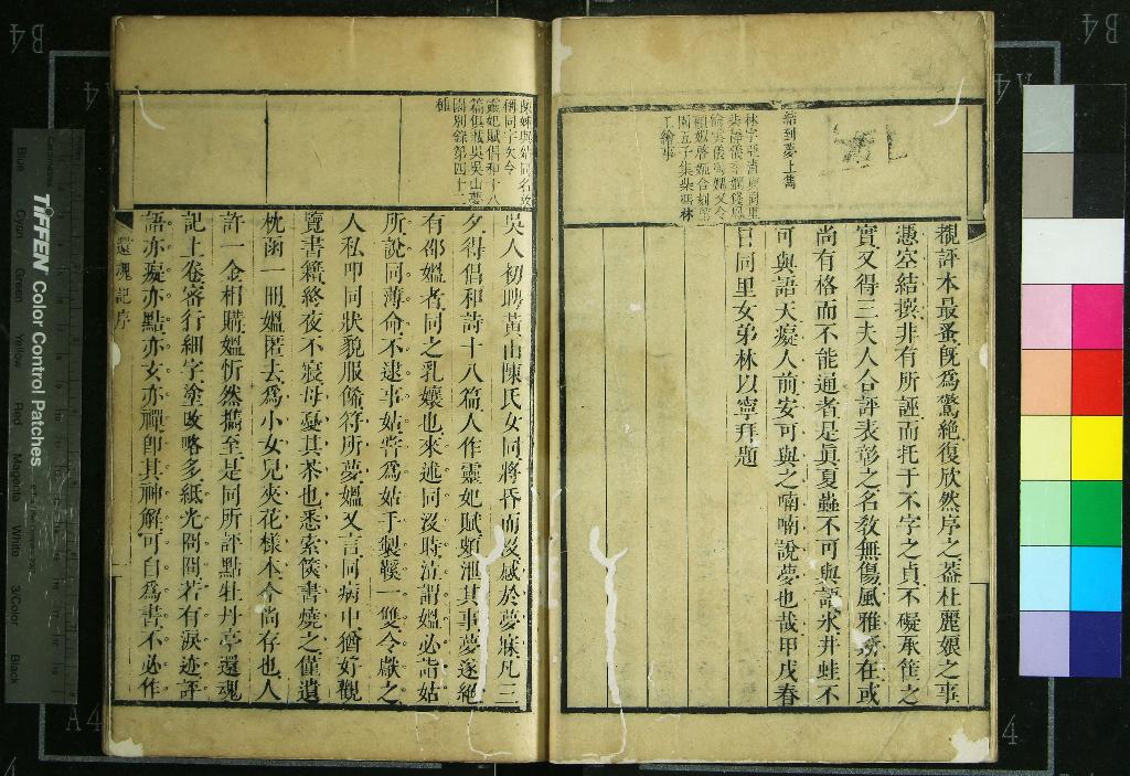 《吳吳山三婦合評牡丹亭還魂記二卷》作者：(清康熙)明湯義仍湯顯祖撰、清陳同、談則評點、清錢宜參評；還魂記或問一卷、清吳儀一撰  刻本  PDF下载-汉笺公版书