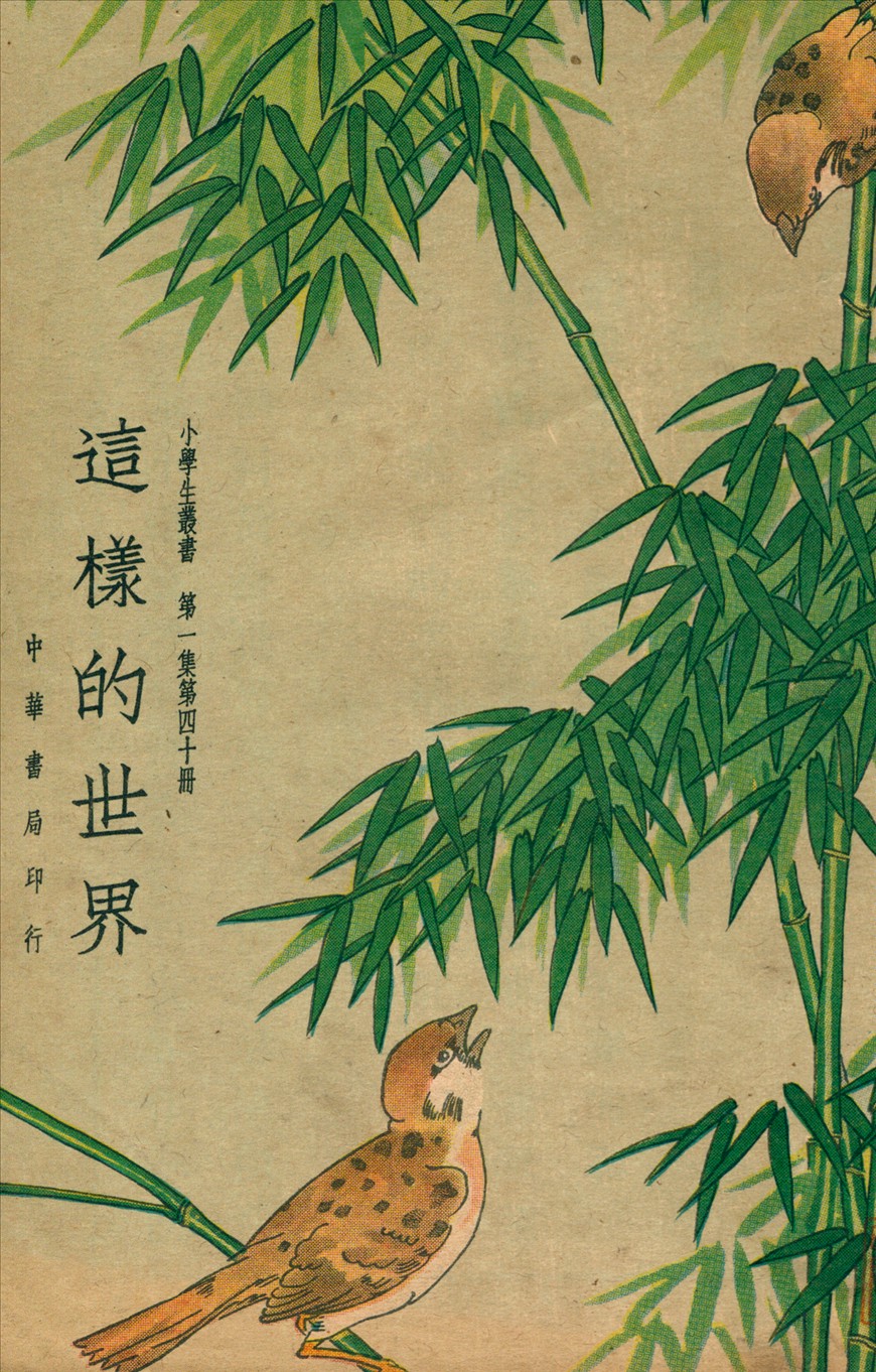 《這樣的世界》 作者:王志瑞等編著  1934年  PDF下载-汉笺公版书