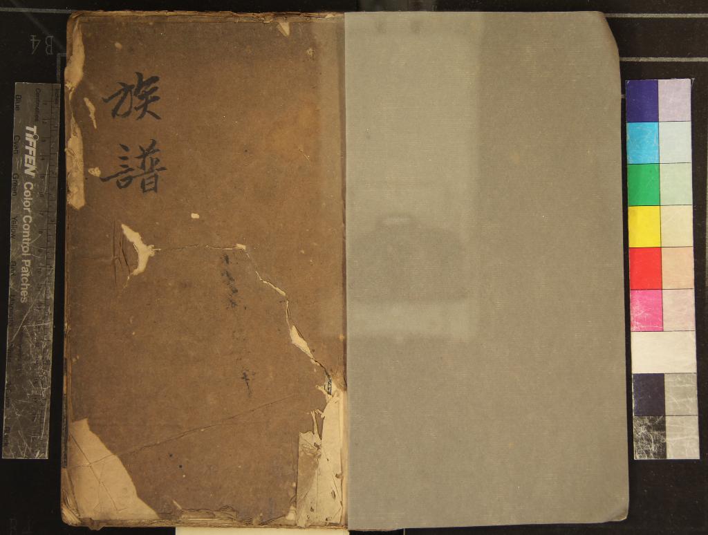 《族譜不分卷》作者：(清康熙)  刻本  PDF下载-汉笺公版书