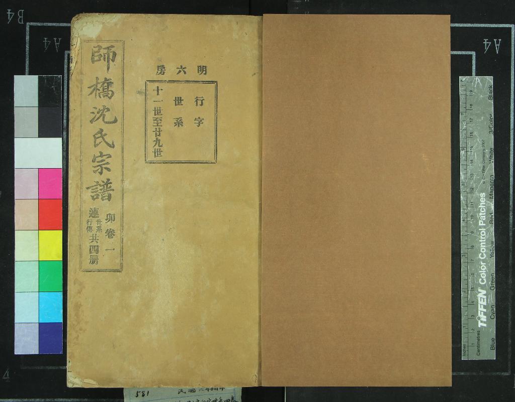 《[浙江慈谿]慈谿師橋沈氏明六房支譜世系四卷》作者：(民國)不著撰者  鉛印本  PDF下载-汉笺公版书