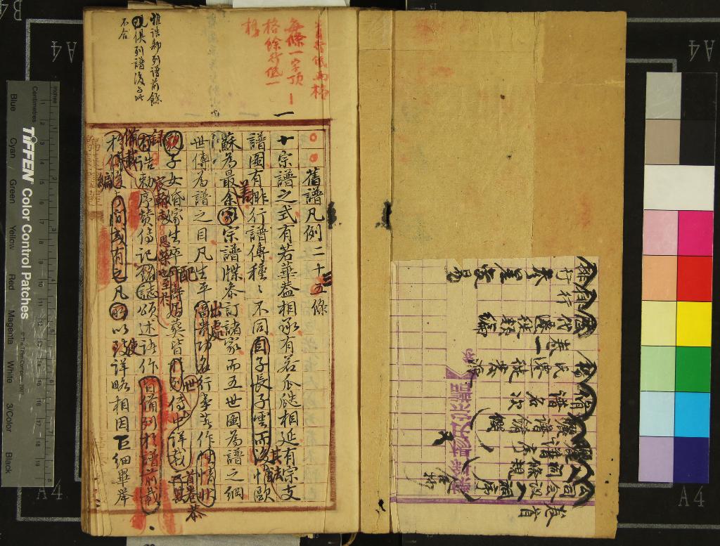 《[浙江鄞縣]櫟溪楊氏宗譜不分卷》作者：(清)清楊濂纂修  稿本  PDF下载-汉笺公版书