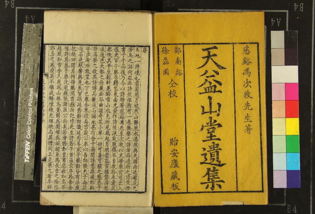 《天益山堂遺集十卷續刻一卷》作者：(清乾隆)明馮元仲著、清馮廷楷錄  刻本  PDF下载-汉笺公版书