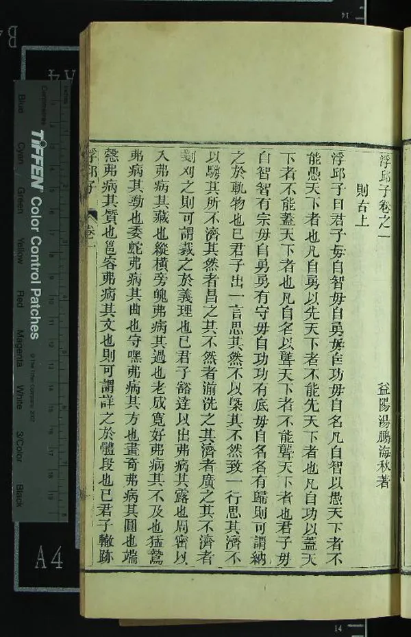 《浮邱子十二卷》作者：(清同治)清湯鵬著  刻本  PDF下载-汉笺公版书