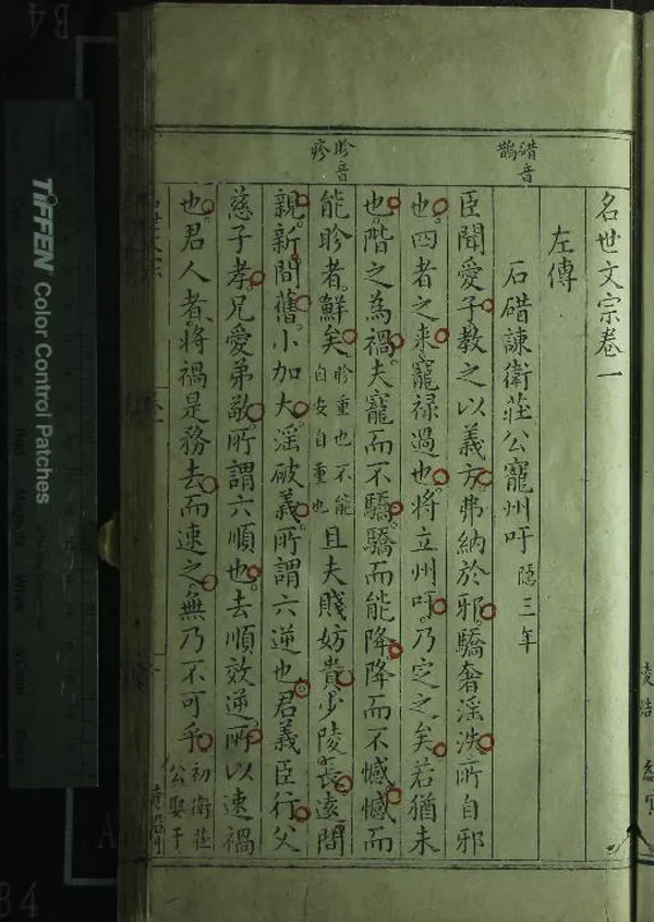 《名世文宗二十卷外集四卷》作者：(明萬曆)明胡時化編次、明郭子章參輯  刻本  PDF下载-汉笺公版书