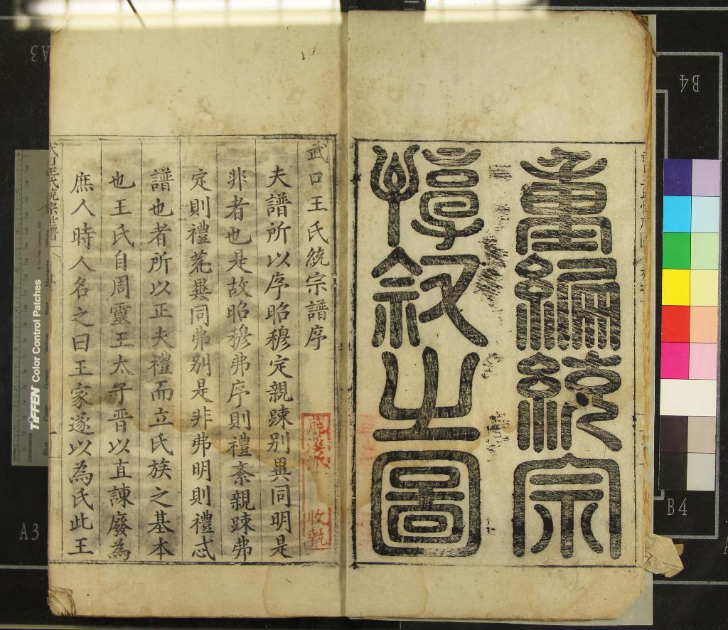 《[安徽婺源]武口王氏統宗譜不分卷》作者：(明隆慶)明王銑纂修  刻本  PDF下载-汉笺公版书