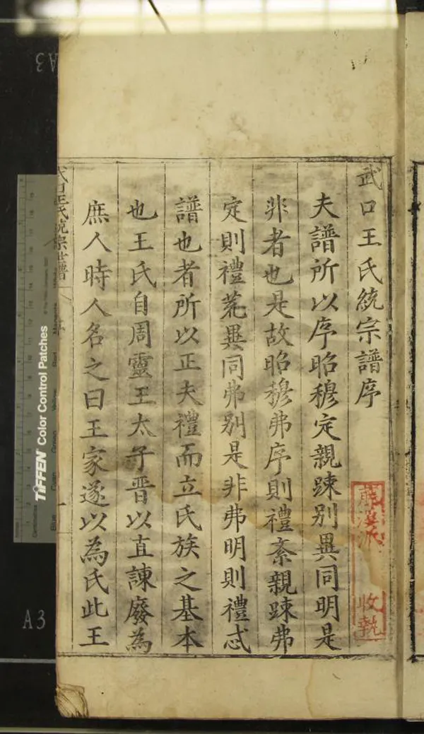 《[安徽婺源]武口王氏統宗譜不分卷》作者：(明隆慶)明王銑纂修  刻本  PDF下载-汉笺公版书