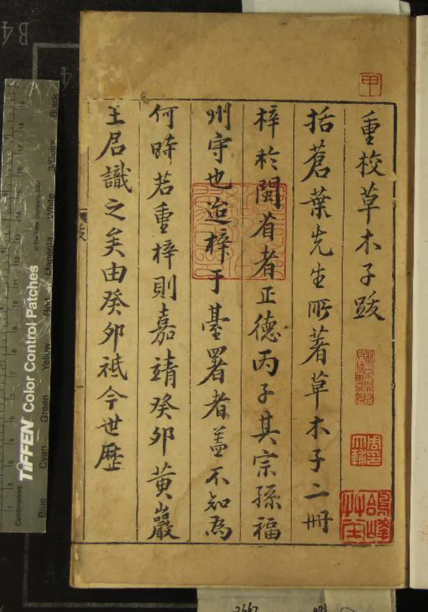 《草木子》作者：()葉子奇  刻本  PDF下载-汉笺公版书