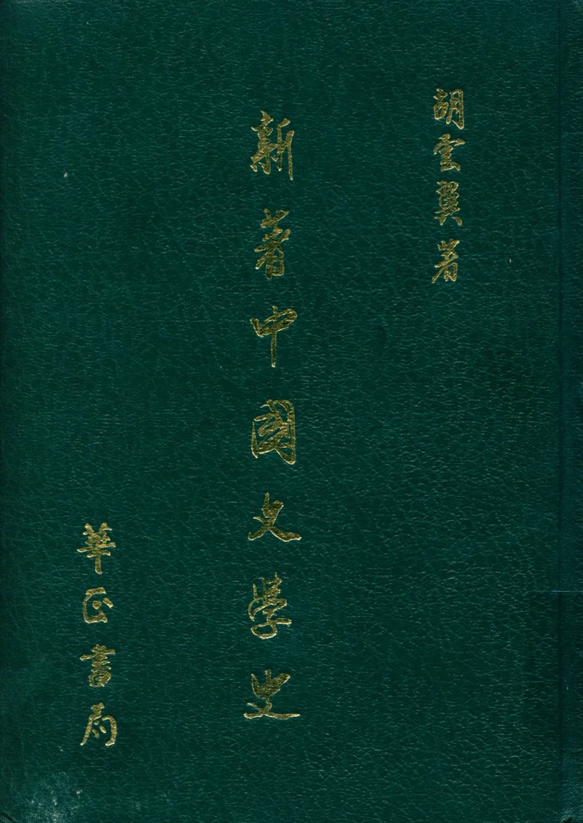 《新著中國文學史》 作者:胡雲翼著 1931年  PDF下载-汉笺公版书