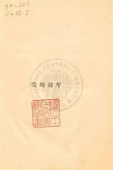 《我的幼年》 作者:[郭沫若著] 1929.12後記年  PDF下载-汉笺公版书