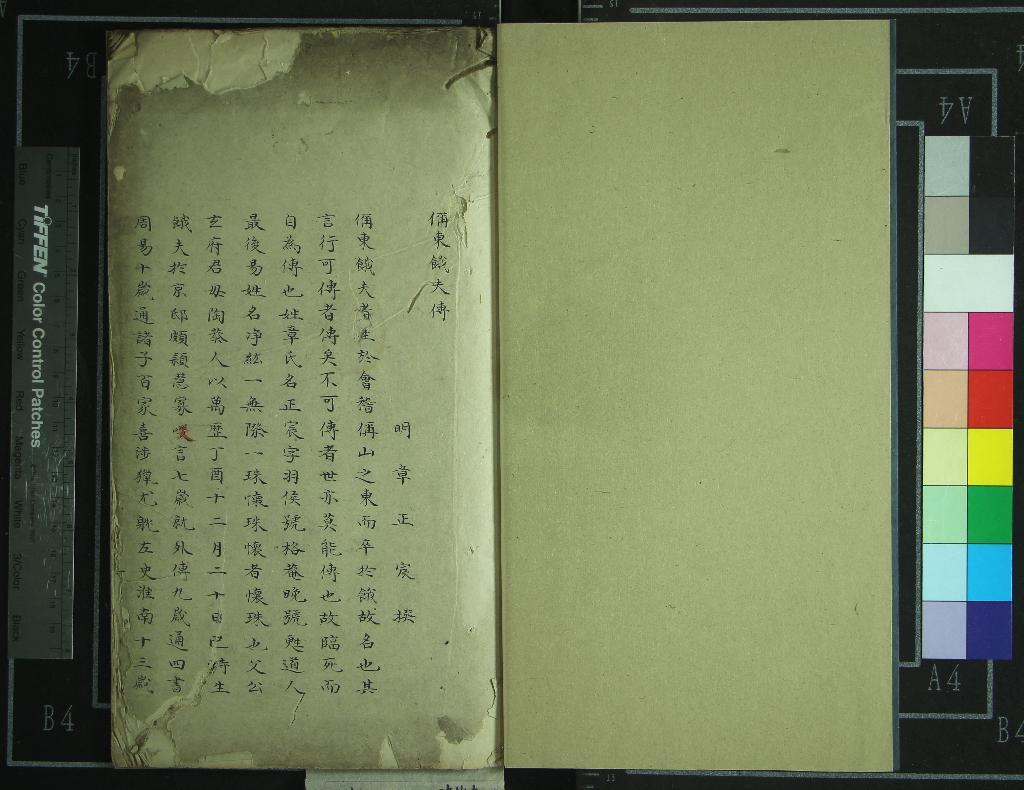 《偁東餓夫傳一卷》作者：(清)明章正宸撰  抄本  PDF下载-汉笺公版书