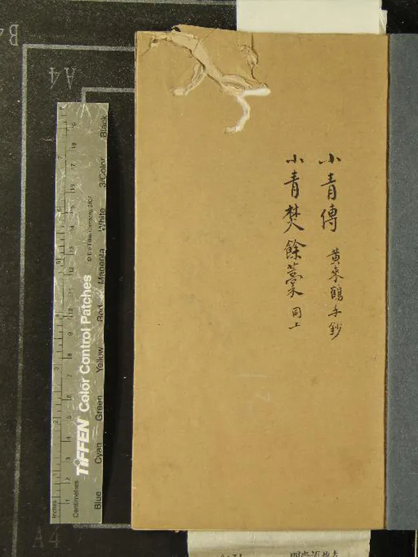 《小青傳一卷》作者：(明崇禎)明盞盞居士撰；小青焚餘藳一卷、明馮小青撰、明含秋亭主人評閱  抄本  PDF下载-汉笺公版书