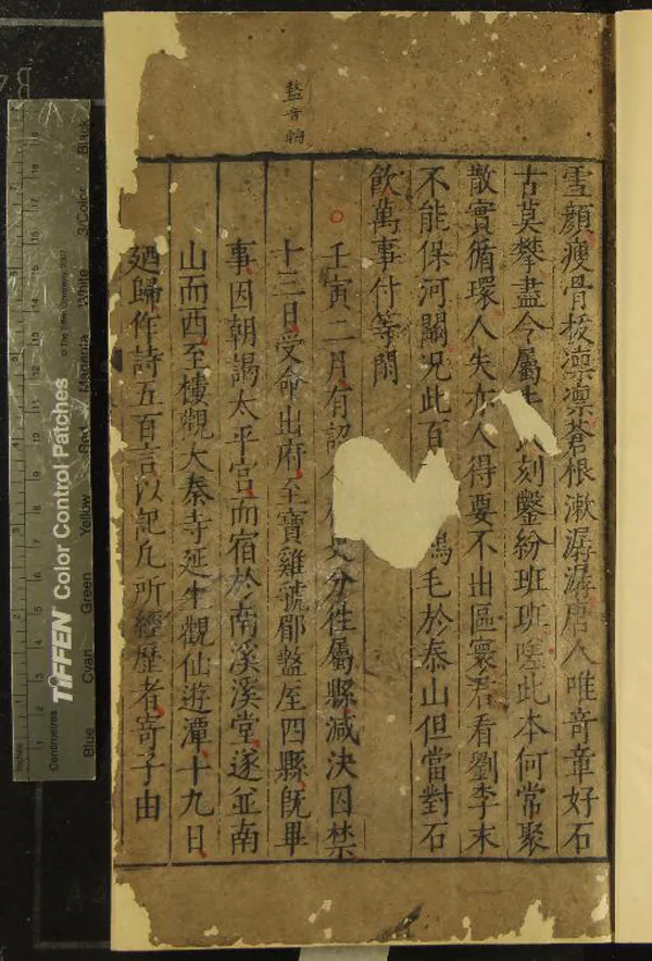 《東坡全集一百十五卷目錄七卷》作者：(明)宋蘇軾撰；年譜一卷、、、宋王宗稷編  刻本  PDF下载-汉笺公版书