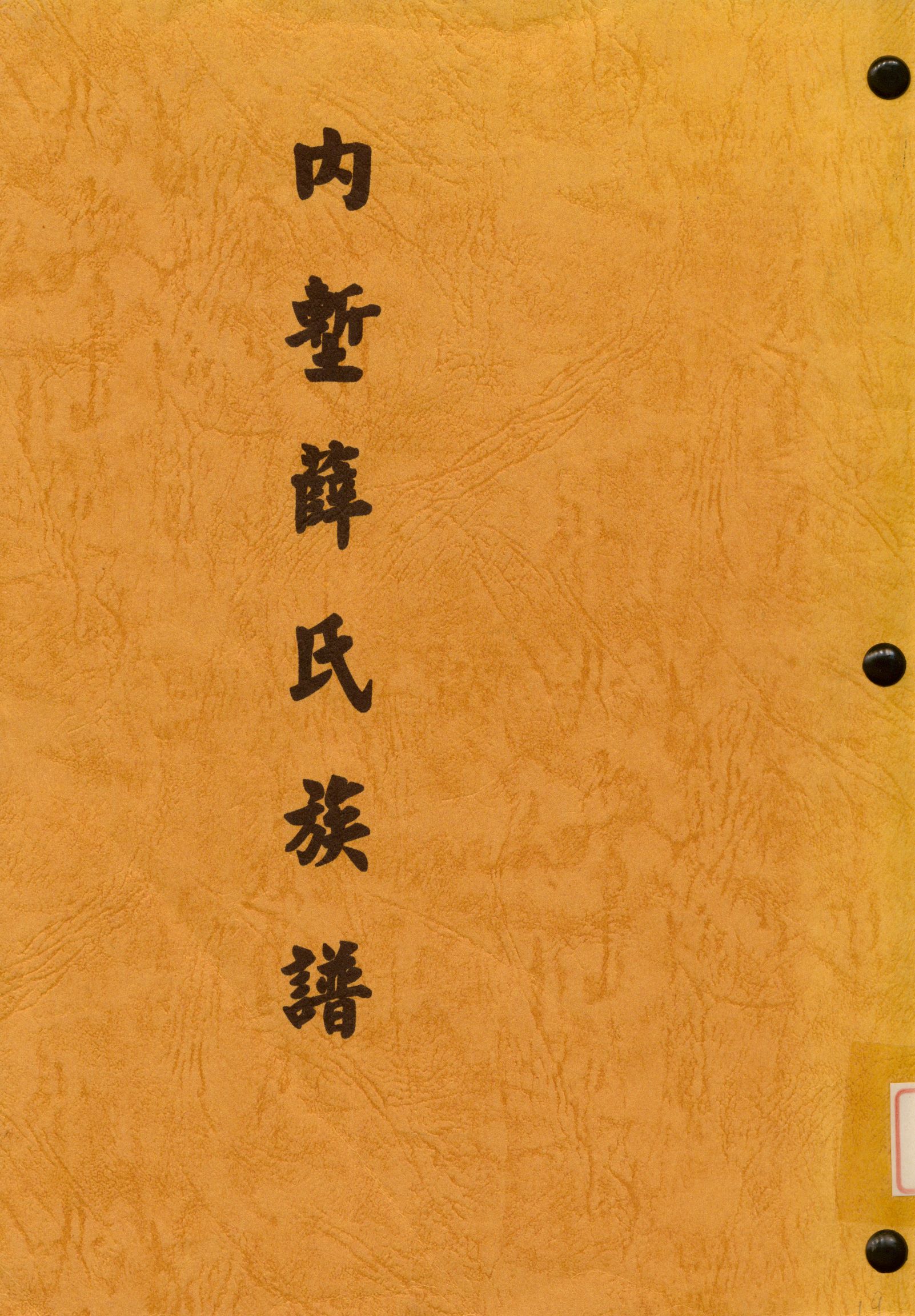 《內塹薛氏族譜》 作者:薛先正 不詳年  PDF下载-汉笺公版书